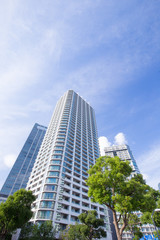 Fototapeta na wymiar 横浜駅周辺の高層ビル