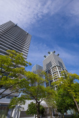 Obraz premium 横浜駅周辺の高層ビルとマンション