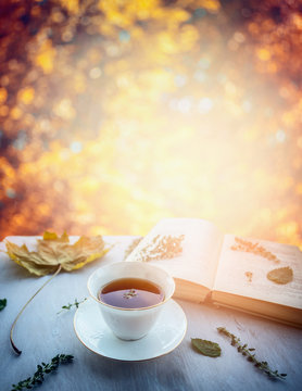 cup of tea with thyme, autumn leaves and open book on wooden window sill on nature autumn blured background