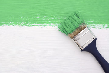 Stripe of green paint with a paintbrush on white