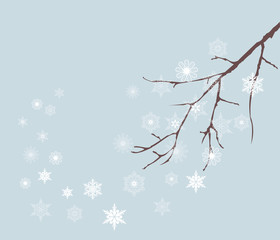 snow branch