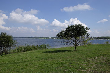 Fototapeta premium Am Cospudener See in der Leipziger Neuen Seenlandschaft, Leipzig