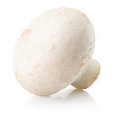 Fototapeta na wymiar white mushroom isolated on the white background