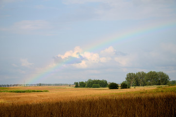 Fototapeta premium Rainbow over the field