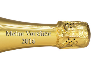 Meine Vors&auml;tze 2016