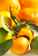 Fresh citrus fruits with leaves