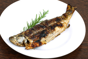 Grilled trout