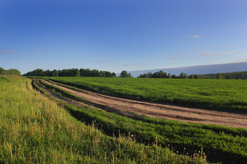 Summer farm road along the field