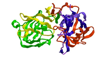 Molecular structure of enzyme pepsin - obrazy, fototapety, plakaty