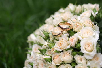 Beautiful flowers closeup