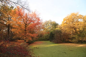 Berlin, Tiergarten am Tiergartenflie&szlig; in sch&ouml;nsten Herbstfarben