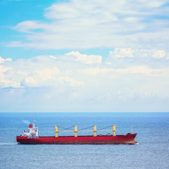 Bulk Carrier Ship © Sergej Razvodovskij