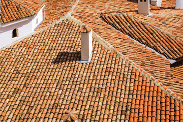 Old Tiled Roof