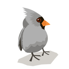 Bird isolated on white background