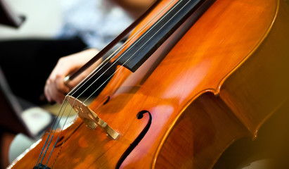 Fototapeta premium Violoncello