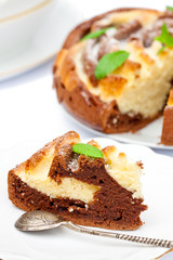 Isolated two-tone homemade color cake with mint leaves