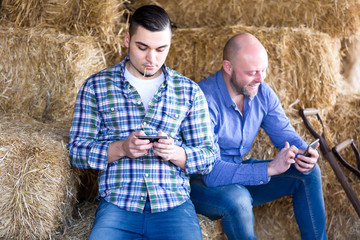 Naklejka na ściany i meble Farmers playing with phones in shed