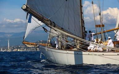 Obraz premium voiliers