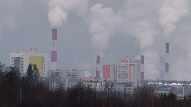 Birds are Flying on the Background of Factory / From the pipes of the plant goes white smoke. The plant is located in the city. A lot of smoke
