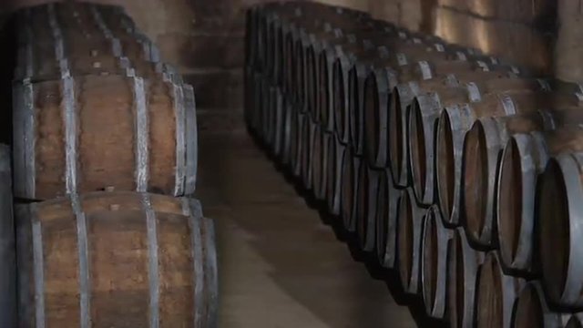 Barrels in Wine Cellar-Bordeaux Vineyard