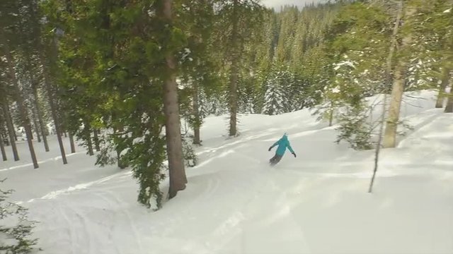 AERIAL: Snowboarding through a snowy spruce forest