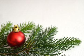 Obraz na płótnie Canvas Christmas ball and spruce branch