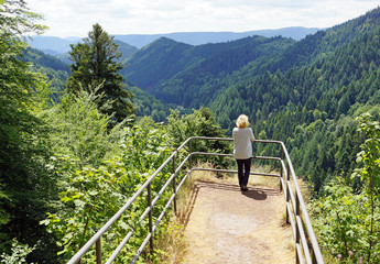 Fototapeta na wymiar Panorama Ausblick in den Schwarzwald vom Studentenfelsen
