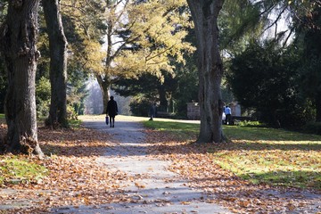 Herbst auf dem Friedhof