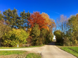 Herbst in seinen schönsten Farben