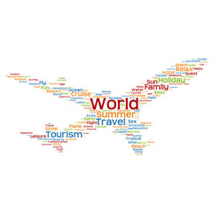 Vector conceptual travel or tourism plane word cloud