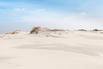 Dünenlandschaft auf Norderney, Ostfriesische Inseln, Deutschland