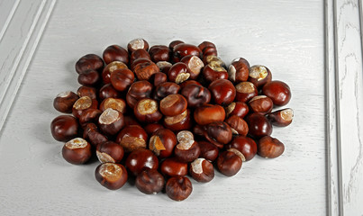 Chestnut on wooden substrate