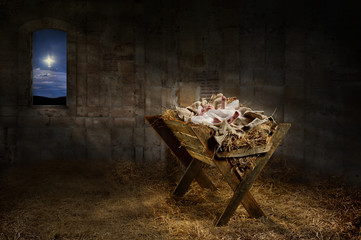 Jesus Resting on a Manger