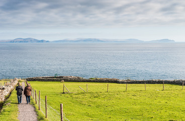 Green Meadow in Dingle