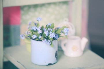 Forget-me-not in rustic cup 
