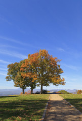Naklejka premium Jump Off Rock w Hendersonville w Północnej Karolinie