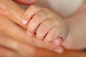 Adult and baby hands, closeup