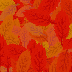Naklejka na ściany i meble Autumn Leaves Background.