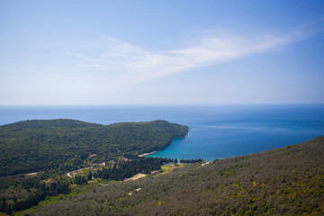 Olive trees plantation in bay