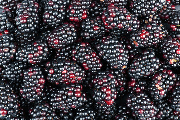 Heap of sweet blackberries close up