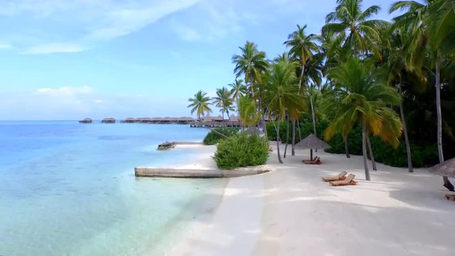 AERIAL: Exotic white sand beaches, palm trees and overwater villas