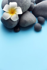 Fototapeta na wymiar Spa stones with flower on blue background