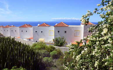 Fototapeta na wymiar Beautiful view of Torviscas Alto with tropical plants,Tenerife,Canary Islands.