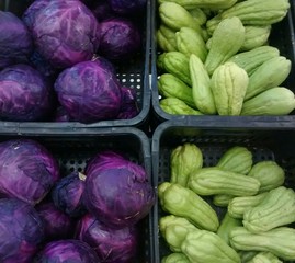 Repolho roxo e xuxu verduras