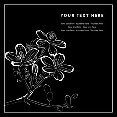 Vector natural floral frame background - design elements