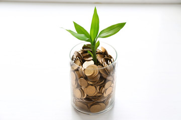 Fototapeta na wymiar Plant growing in coins isolated on white