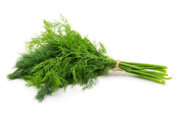 Fresh dill close up on white background