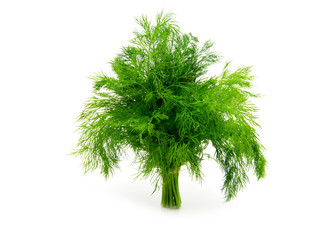Fresh dill close up on white background