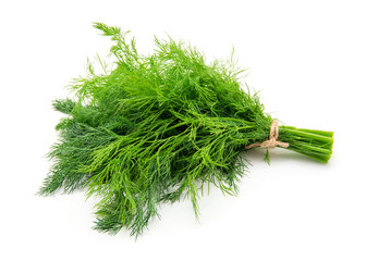 Fresh dill close up on white background