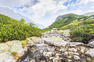 Fototapeta na wymiar Mountain river in Tatras